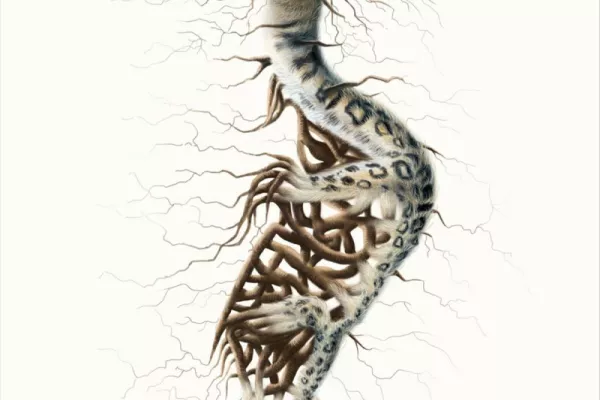 WWF print ads