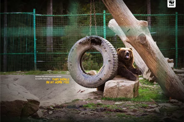 WWF "Let's stop the traffic"