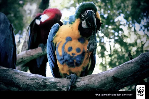 WWF ads WWF ads
