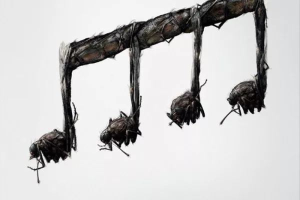Westone Earphones