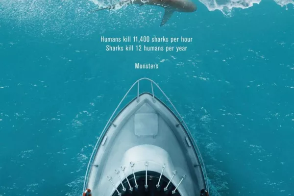 Wild Aid: Petition to change Shark Finning Laws