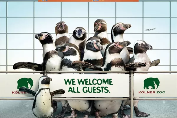 Zoo Cologne ads
