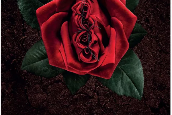 Amnesty International