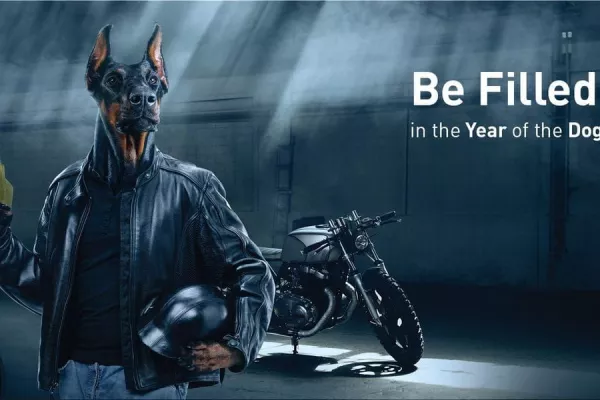 KLO - Be filled up in the year of the dog!