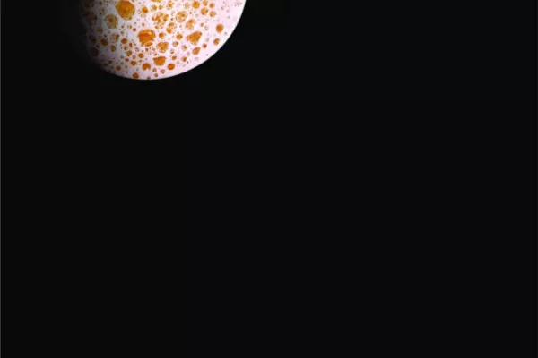 Carlsberg print ads