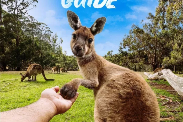 Cleland Wildlife Park