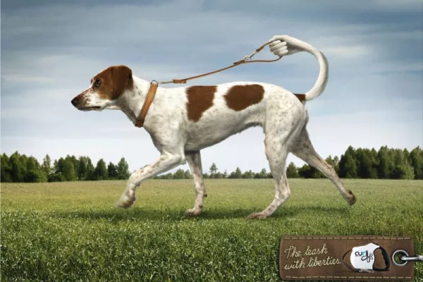 dog ads