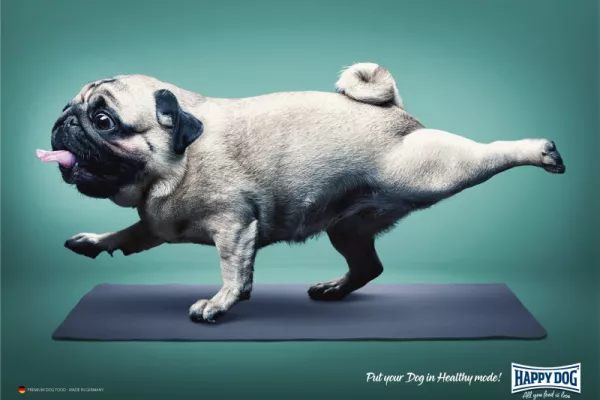 Happy Dog "Put your Dog in Healthy mode!"
