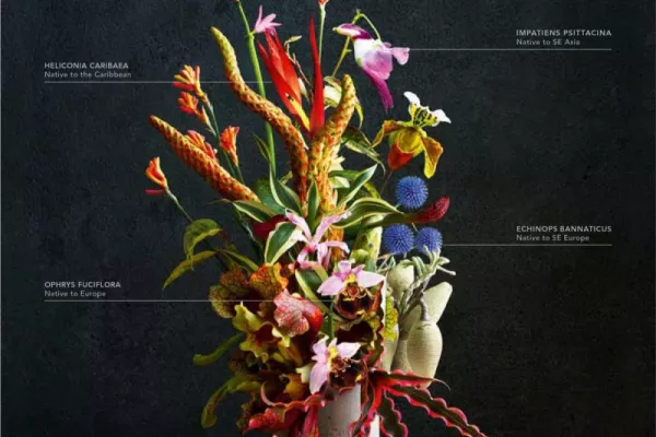 Land Rover: "This bouquet is for you" by Spark44 Land Rover: "This bouquet is for you" by Spark44