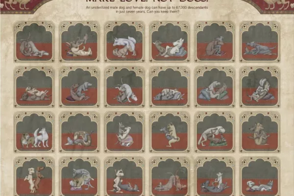 Pet SOS