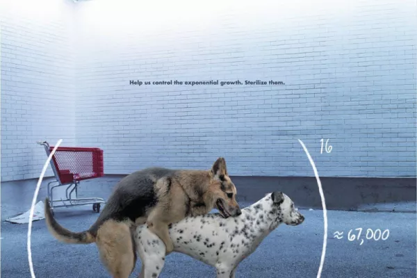 Pet SOS