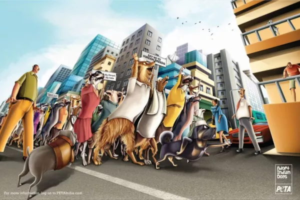 PETA ads
