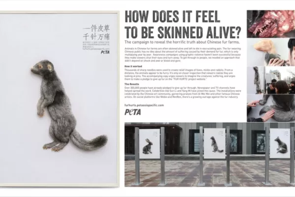 PETA ads