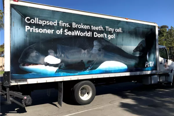 PETA advertisement