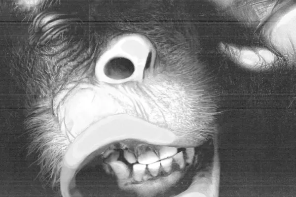 WWF
