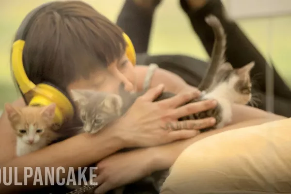 Purina: Kitten Therapy: The Prescription for Stress Purina: Kitten Therapy: The Prescription for Stress