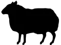 BBH logo