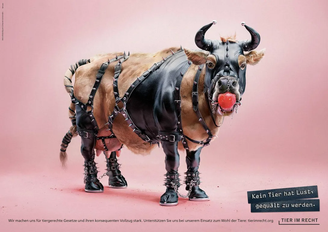 3D Animals