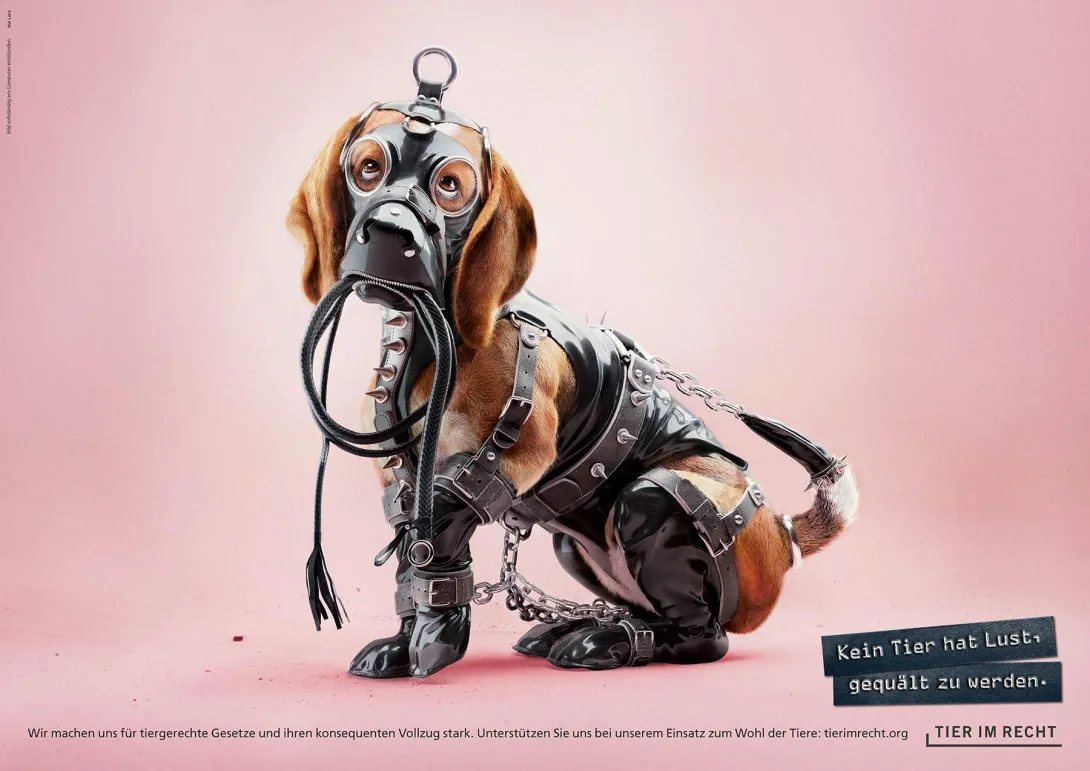 3D Animals