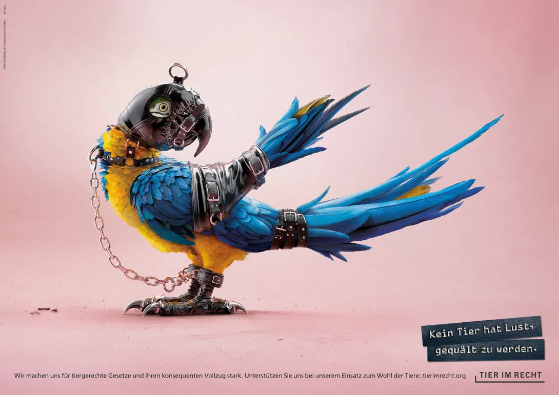 3D Animals