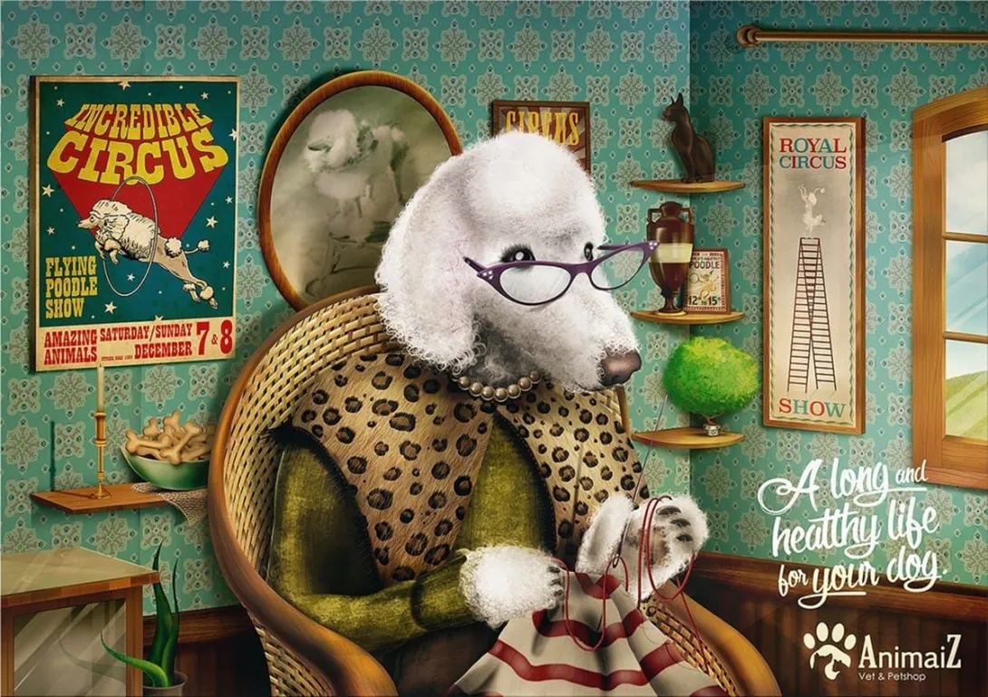 AnimaiZ print ads