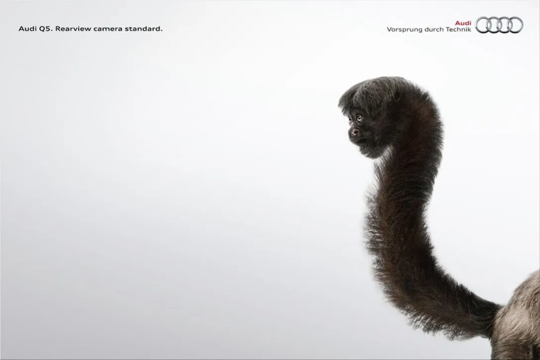 Audi Q5 print ads