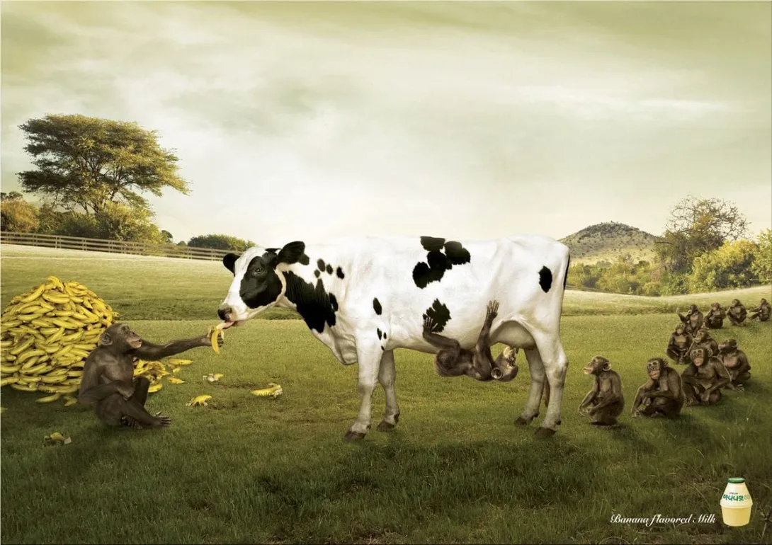 Banana ads