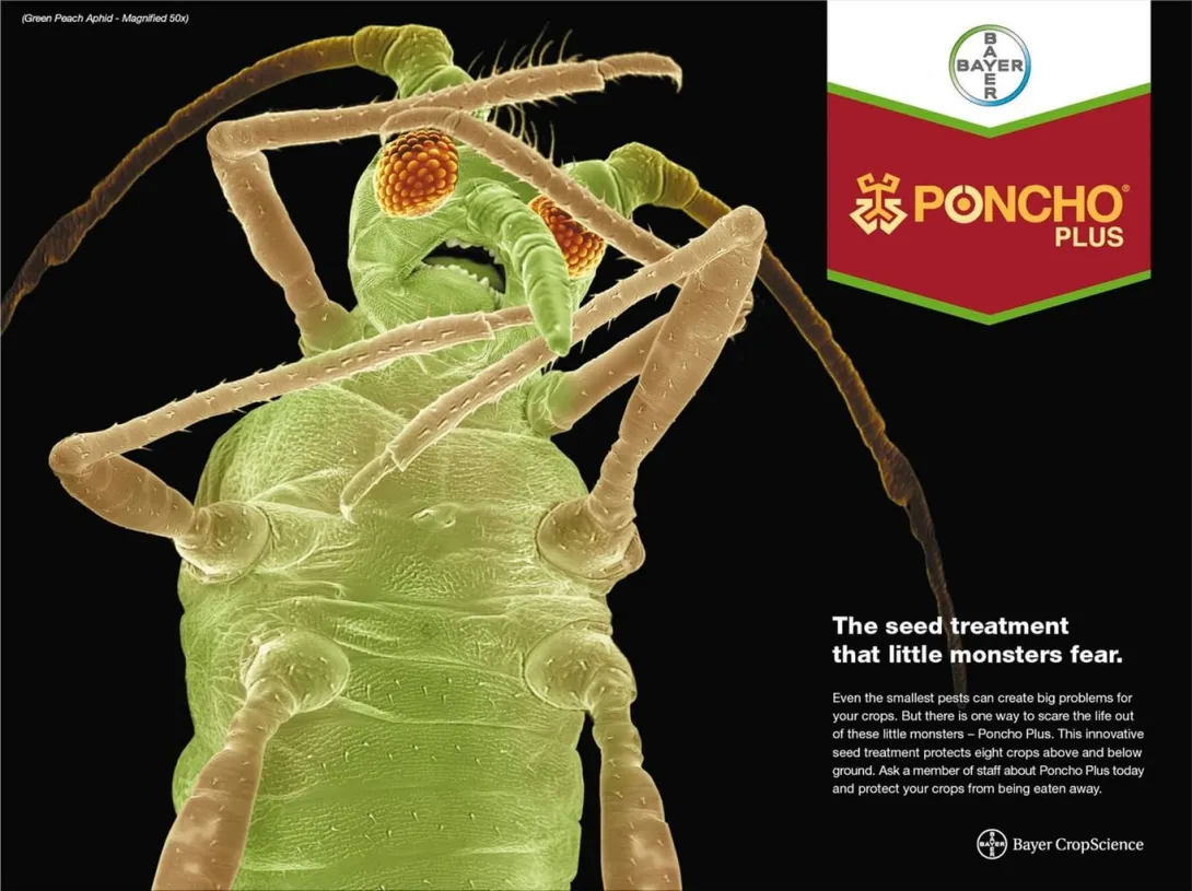 Bayer print ads