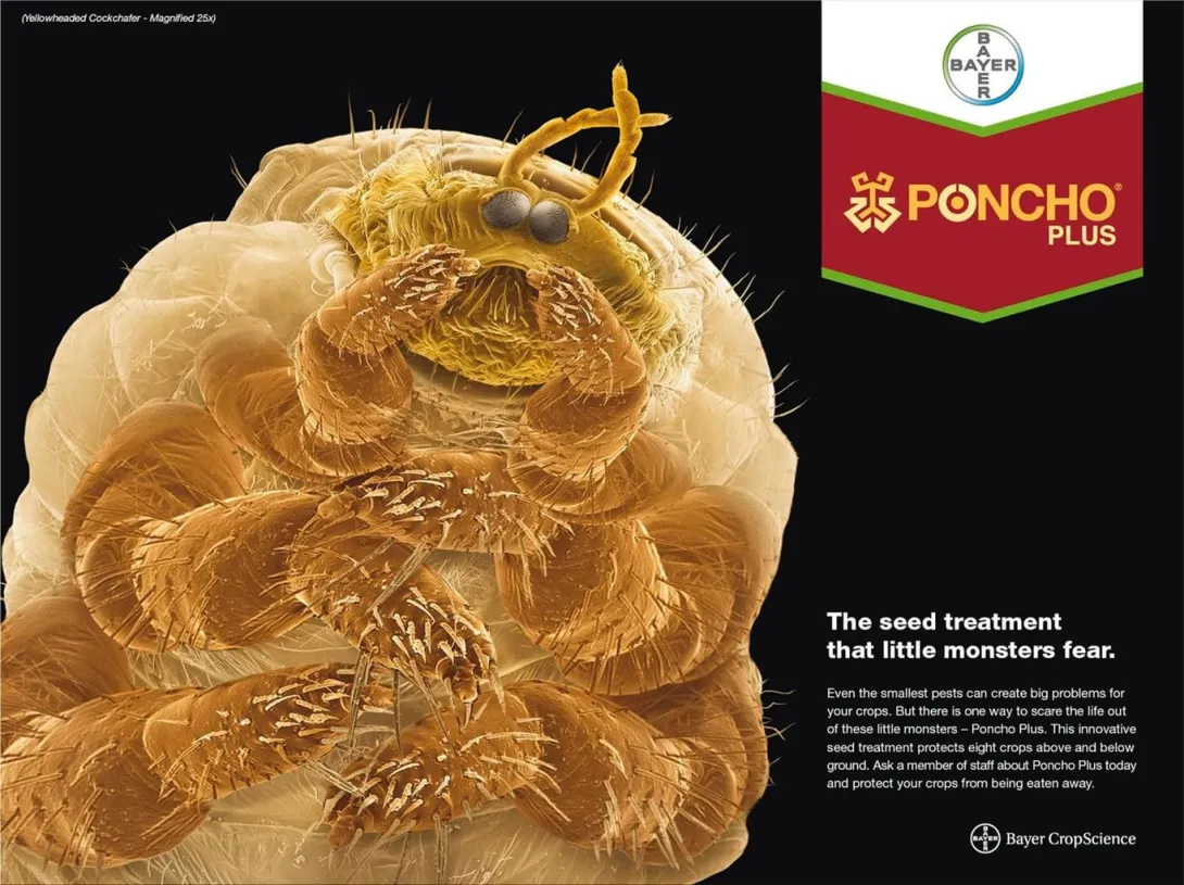 Bayer print ads