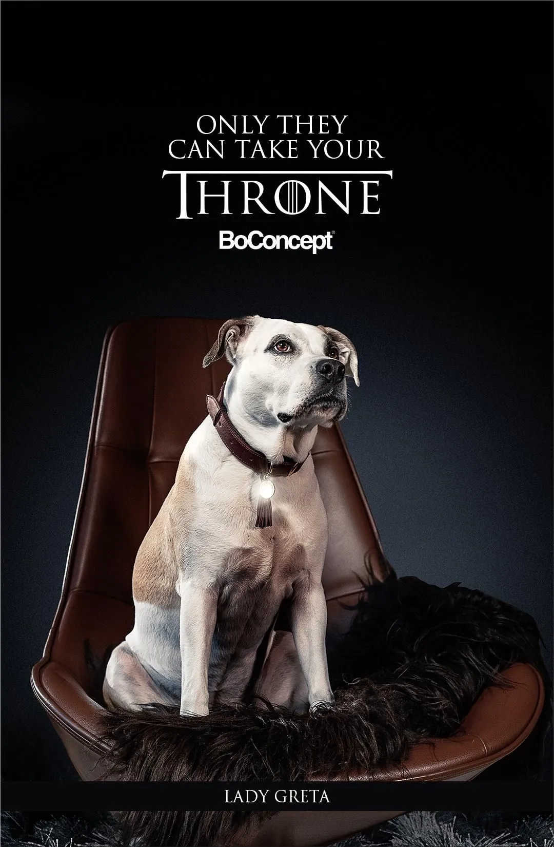 BoConcept "Only They Can Take Your Throne" by Mass Digital