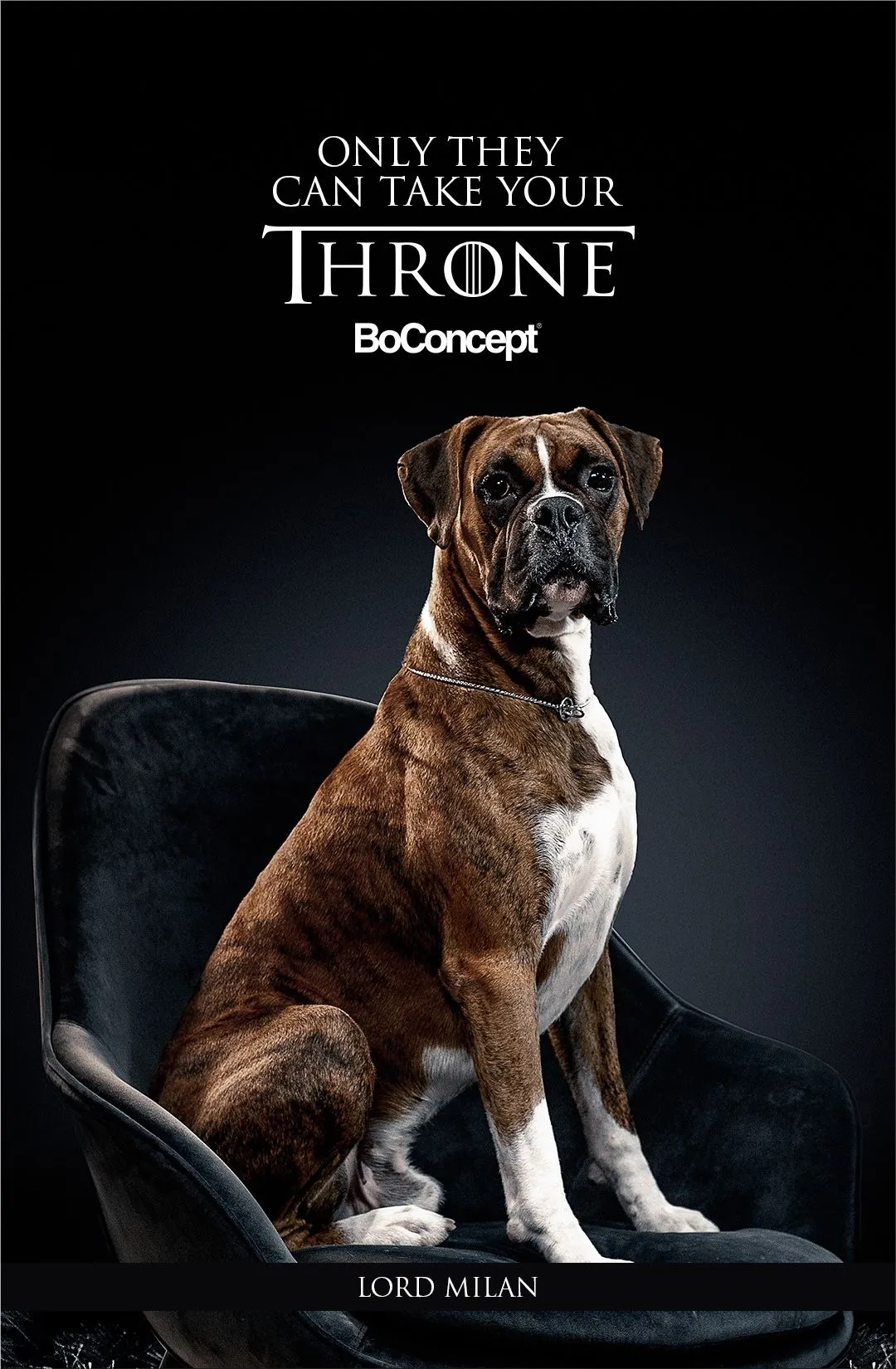 BoConcept "Only They Can Take Your Throne" by Mass Digital