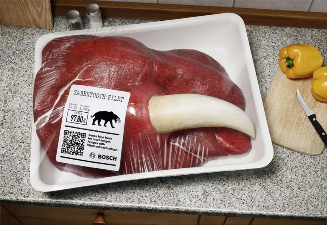 Bosch Refrigerator ads