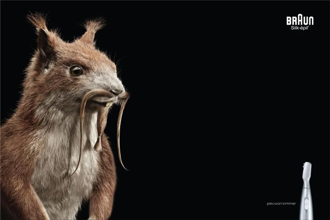 Braun ads