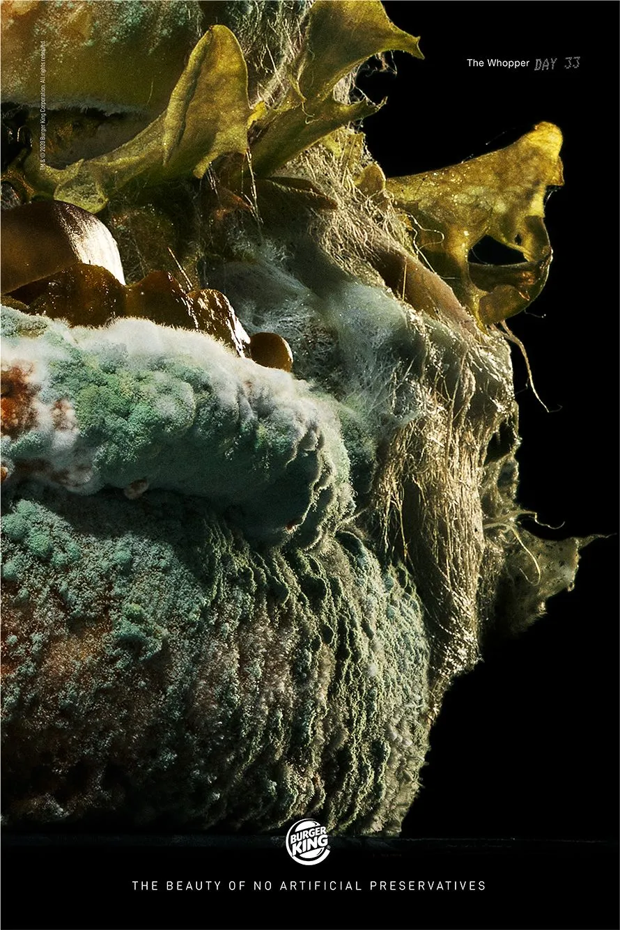 Burger King "The Moldy Whopper" #NoArtificialPreservatives