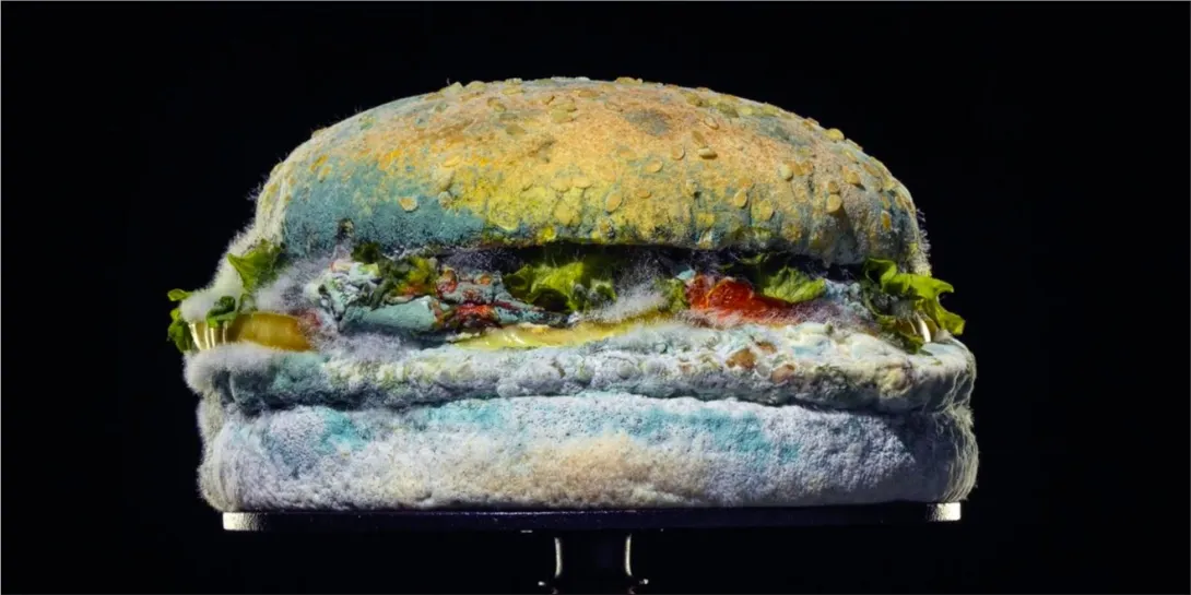 Burger King "The Moldy Whopper" #NoArtificialPreservatives
