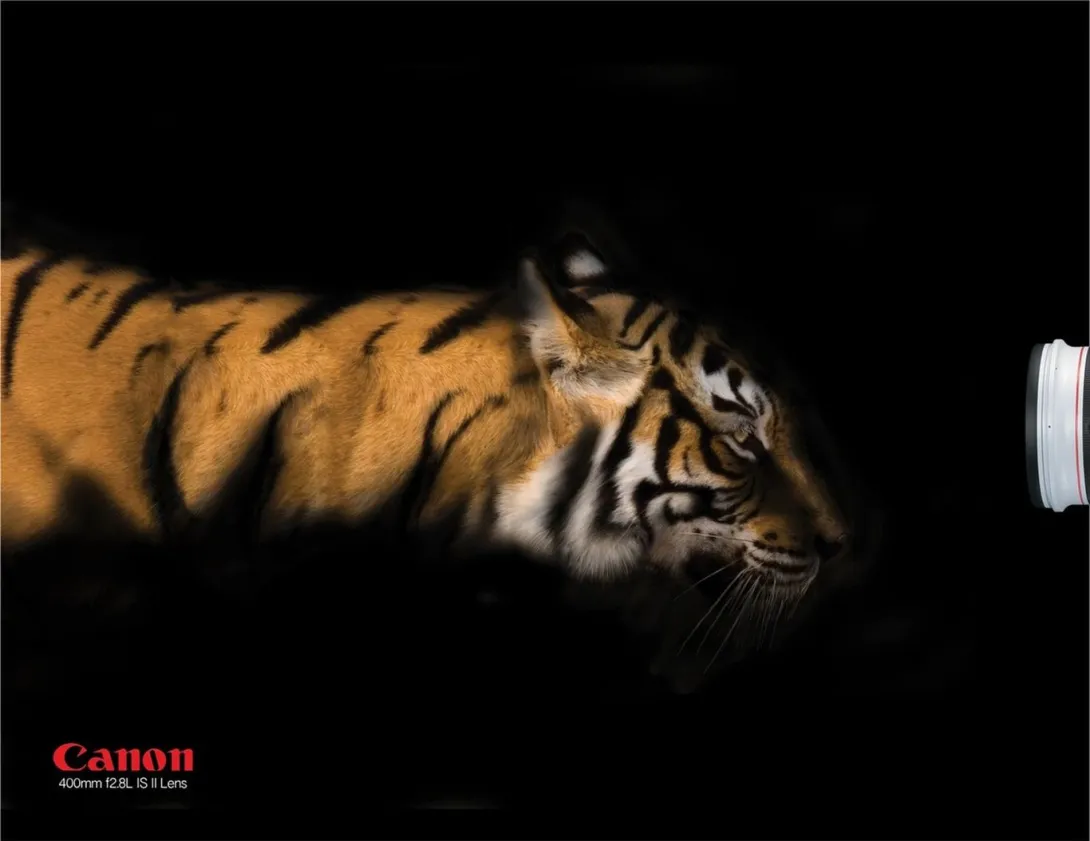 Canon print ads