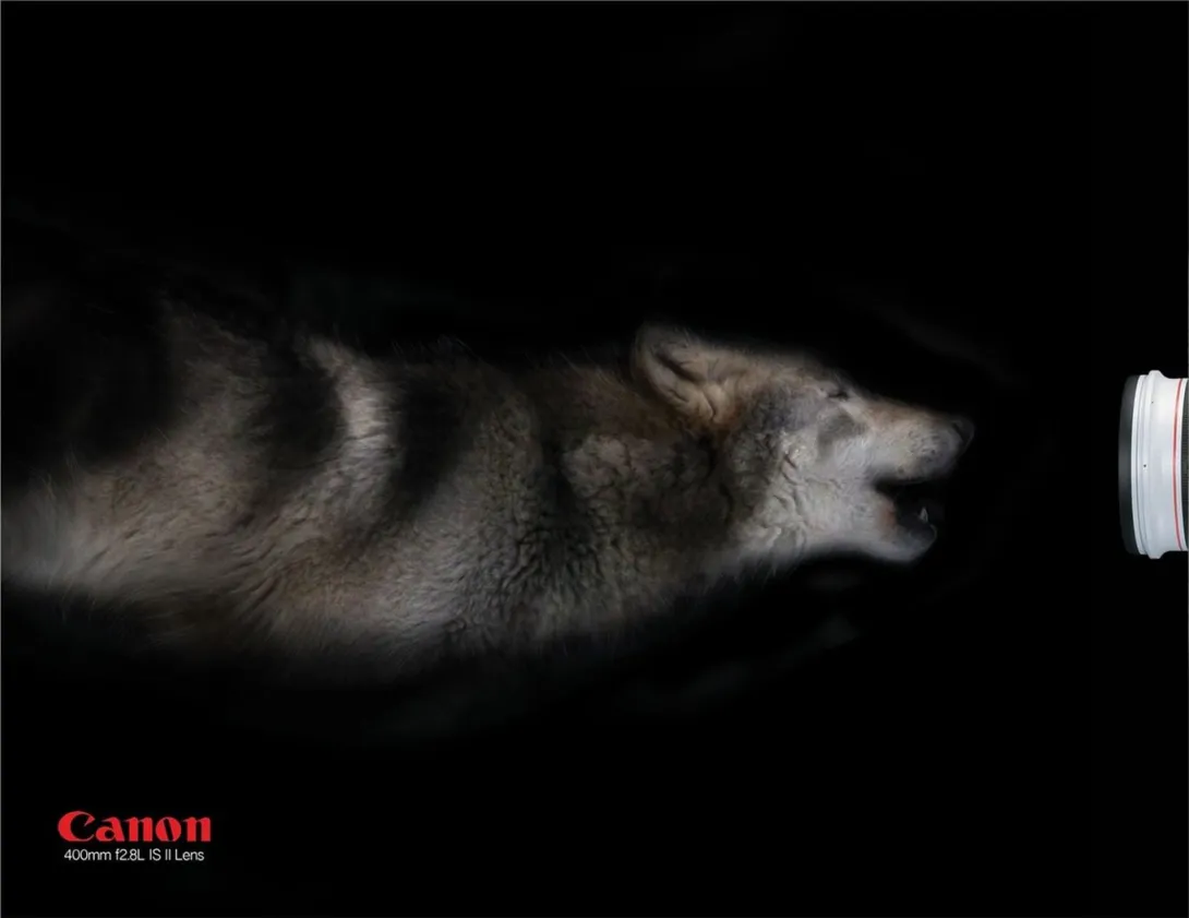 Canon print ads