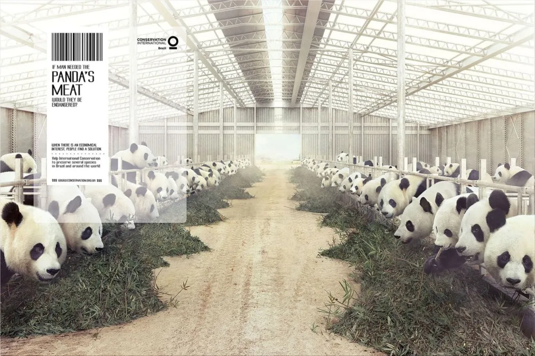 Conservation International ads