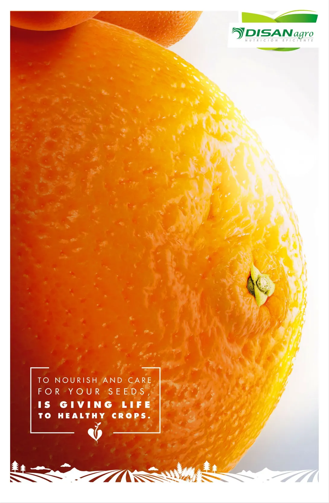 DISAN Agro "To nourish and care for your seeds"