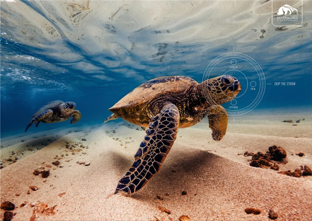 Defensores de la Naturaleza "Skip The Straw"