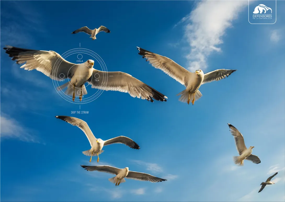 Defensores de la Naturaleza "Skip The Straw"