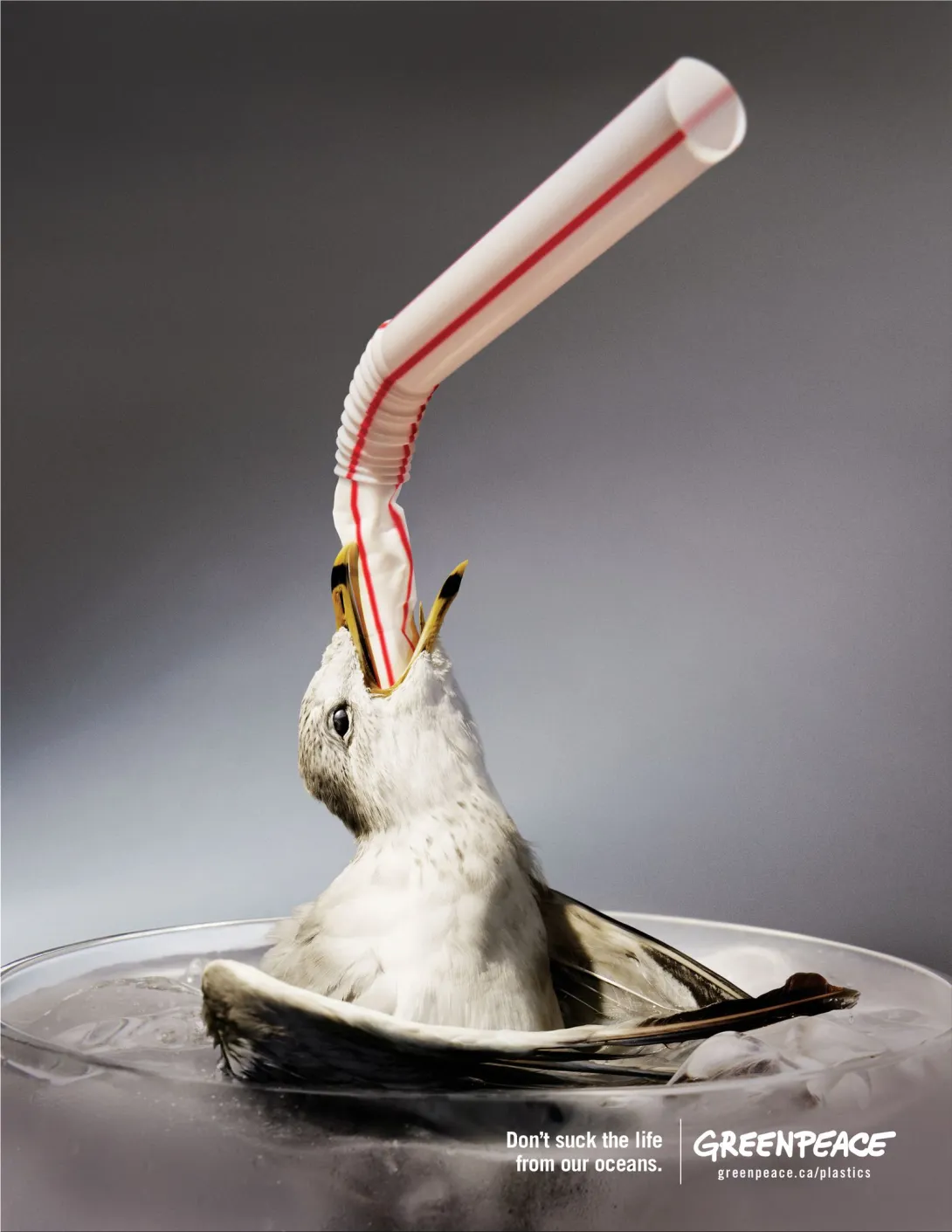Don't suck the life from our oceans