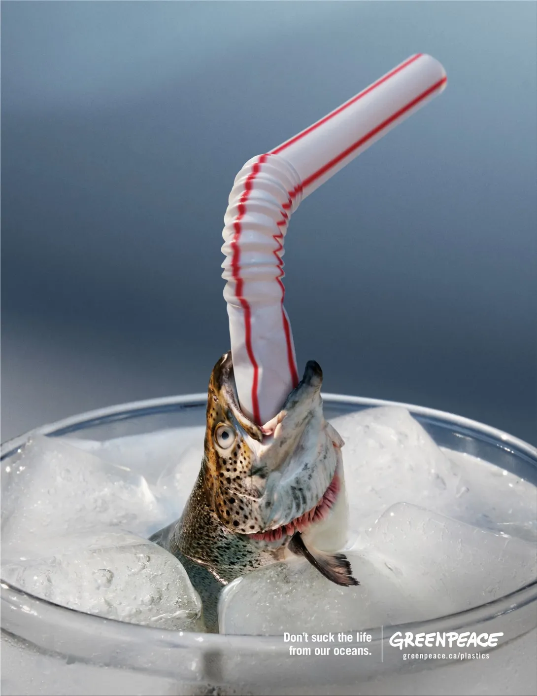 Don't suck the life from our oceans