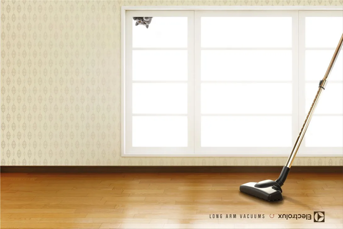 Electrolux: "Long arm vacuums"