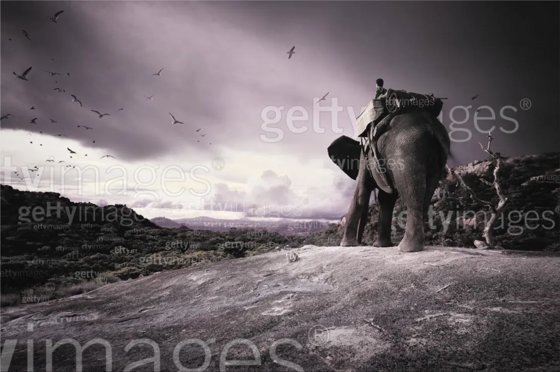 Getty Images print ads