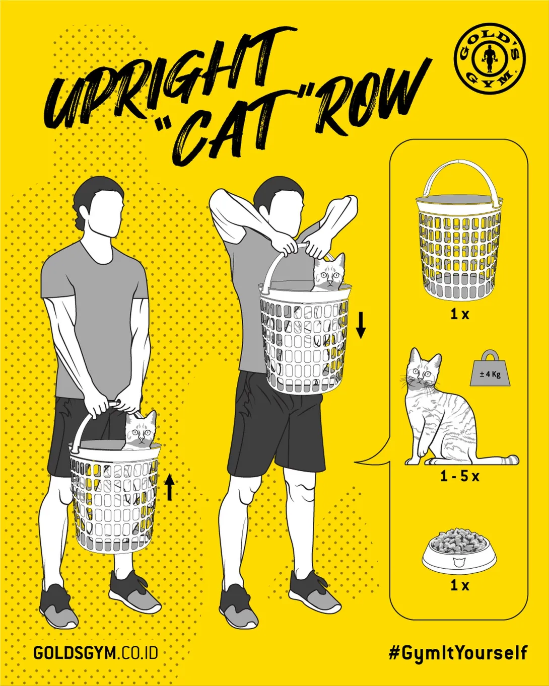 Gold's Gym "Gym It Yourself"