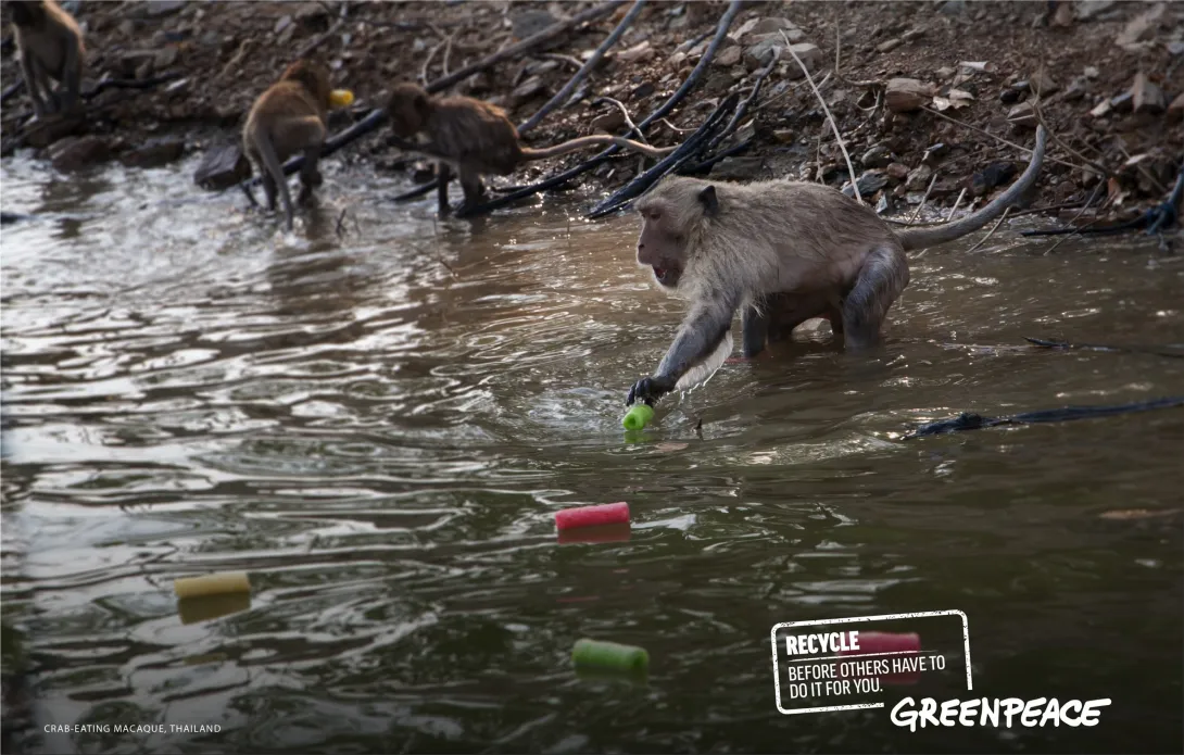 Greenpeace advertisements