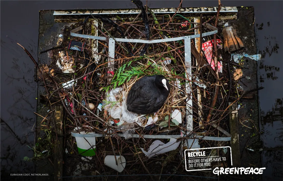 Greenpeace advertisements