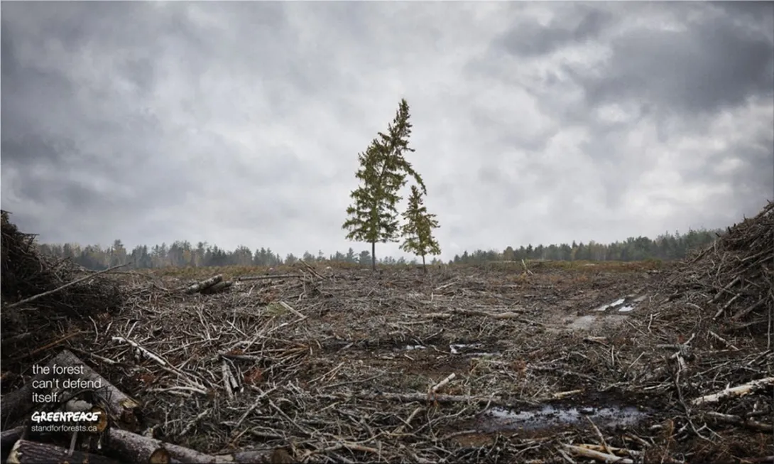 Greenpeace