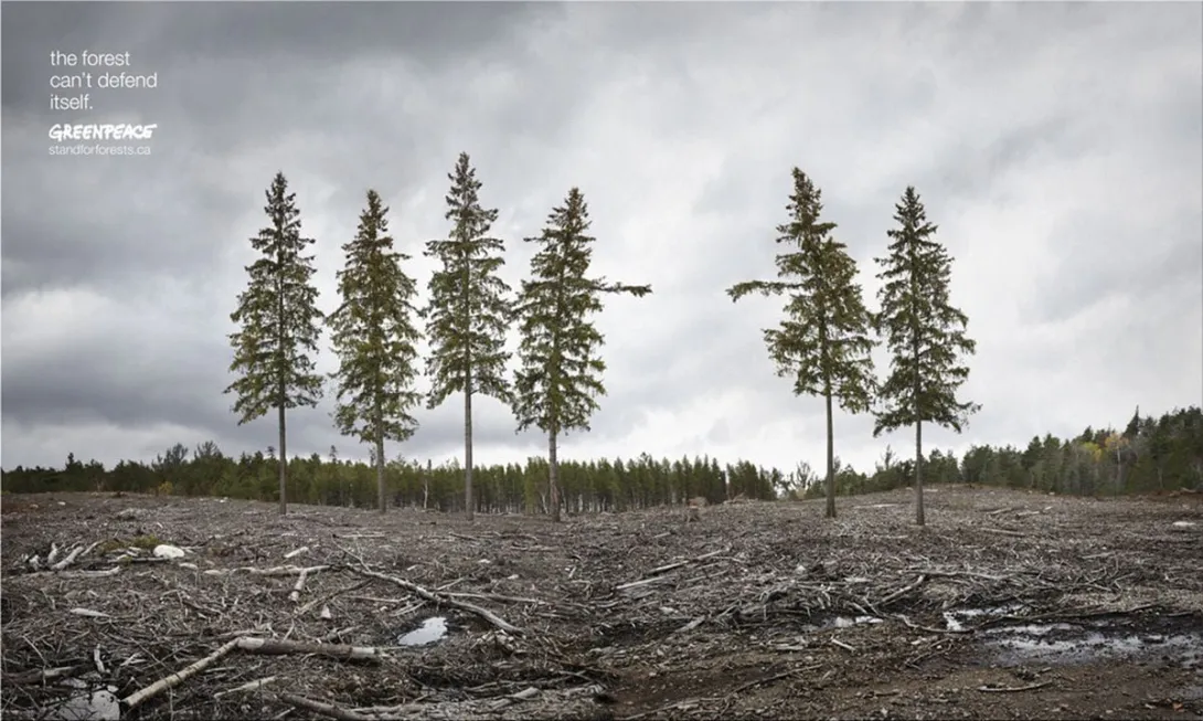 Greenpeace print